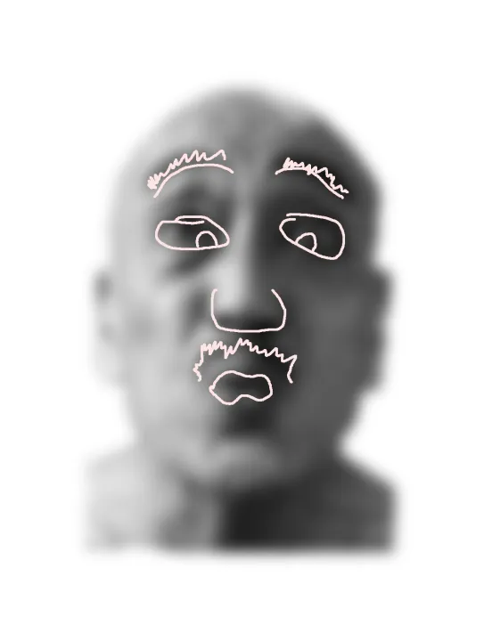 face1