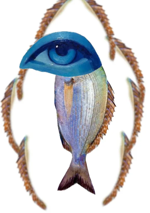 Beta Blaze