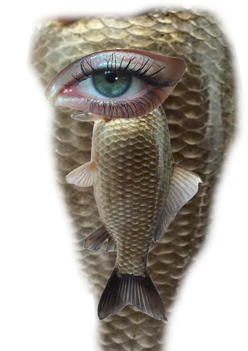 Crypto Puffer
